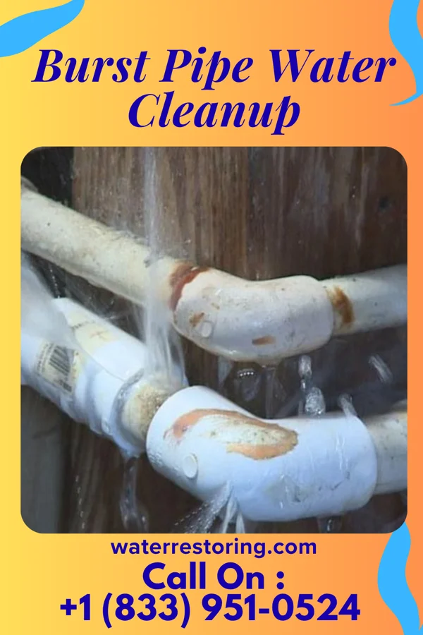 Burst Pipe Water Cleanup in Accident, MD