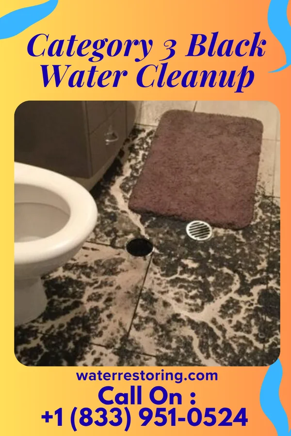 Category 3 Black Water Cleanup in Accident, MD