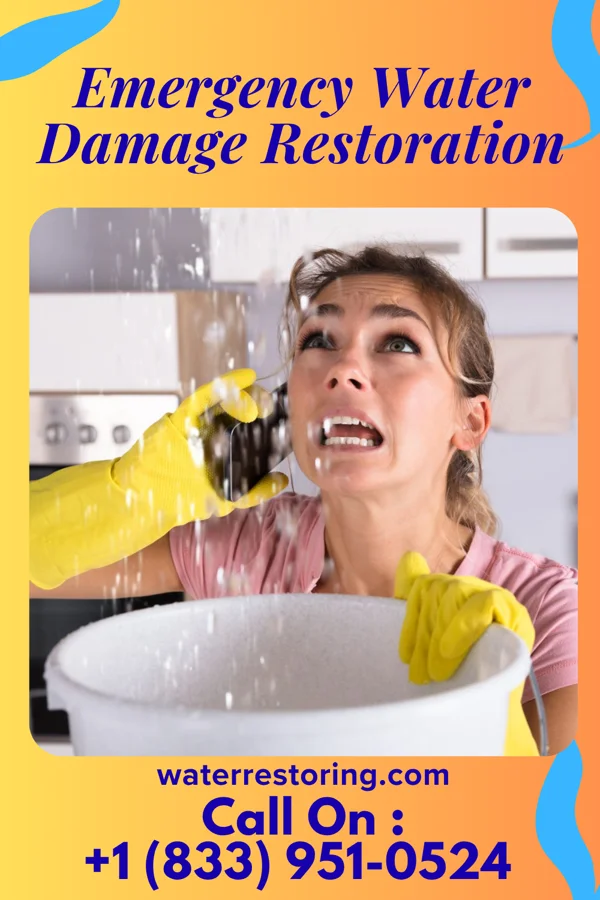 Emergency Water Damage Restoration in Accident, MD