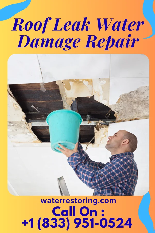 Roof Leak Water Damage Repair in Accident, MD