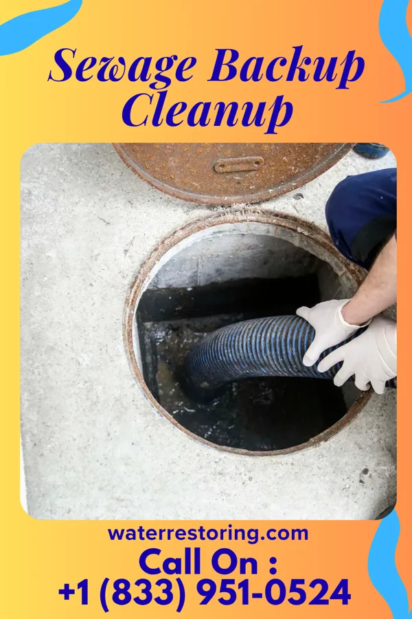Sewage Backup Cleanup in Accident, MD