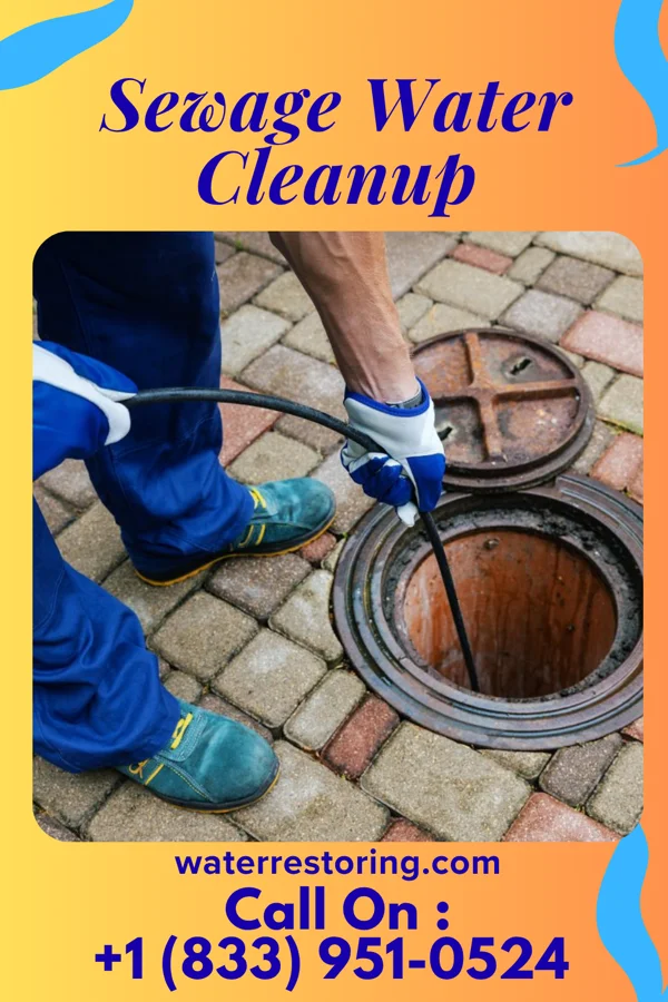Sewage Water Cleanup in Accident, MD